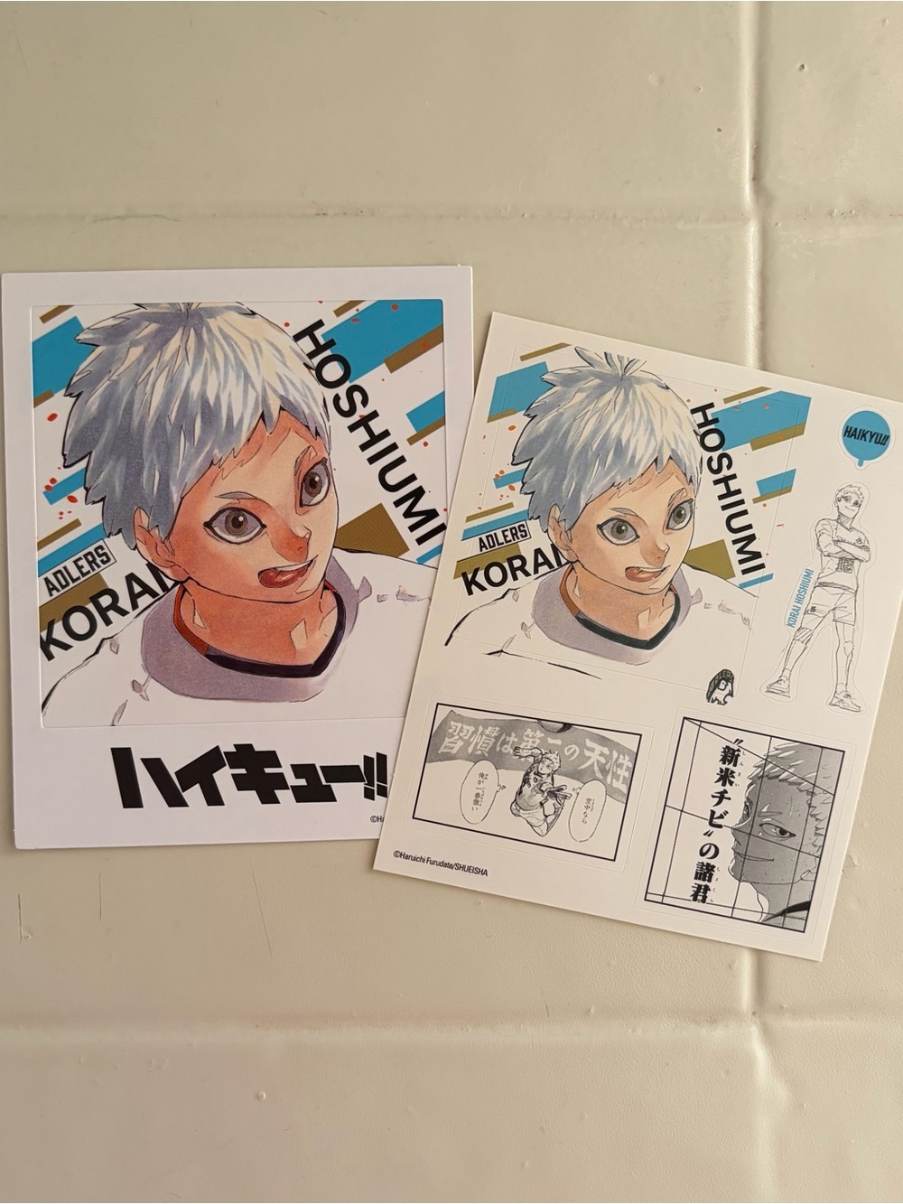 NEW hoshiumi haikyuu set